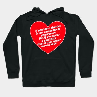 Blow Chunks and Spew True Love Hoodie